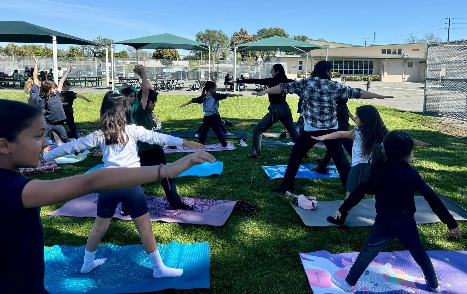Schools / Kids Yoga